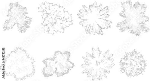 Tree plan outline silhouettes - top view 1