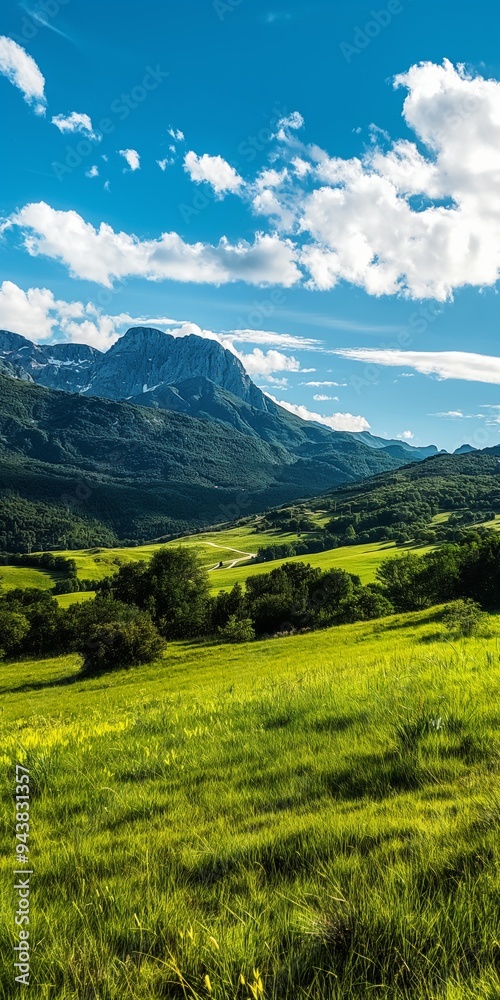 Fototapeta premium A breathtaking panoramic view of green meadows, rolling hills, and majestic mountain peaks.