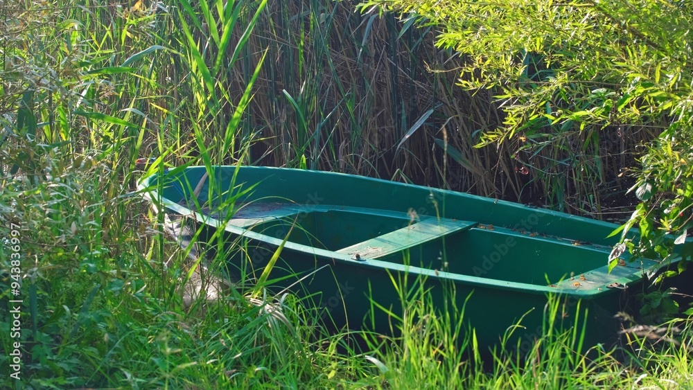 Row Boat Anchored in Reed Bed Rushes at Serene Lake Shore Row Boat Anchored in Reed Bed Rushes at Serene Lake Shore