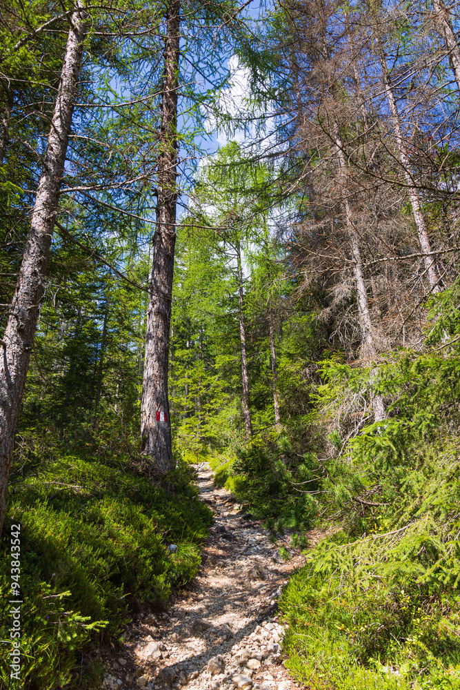 Fototapeta premium Hiking near La Villa - Val Badia - Alta Badia - Italy