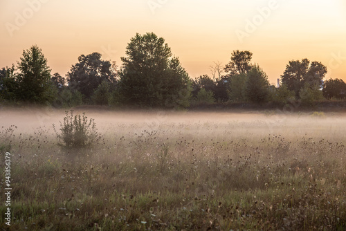 A soft summer morning mist drapes the fields near the city at the end of August, weaving through the golden grasses and whispering the promise of a new day photo