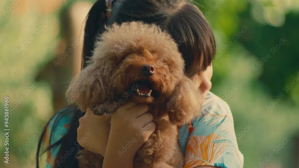 chinese asiatic female girl carrying her Poodle breed dog with red hair chinese asiatic female girl carrying her Poodle breed dog with red hair