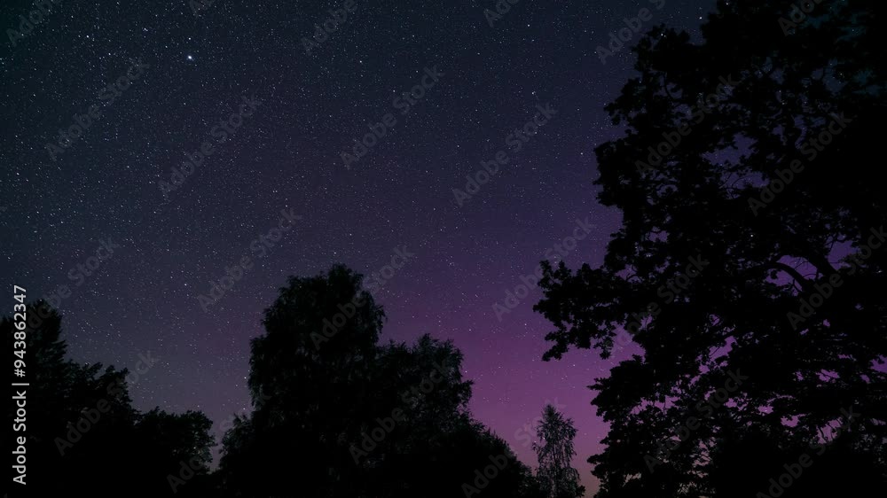 Beautiful night sky timelapse full with stars and mild aurora borealis. Violet colors behind tree silhouettes.