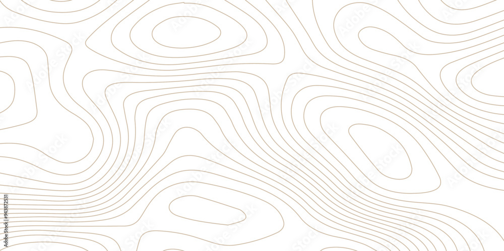 abstract White wave paper curved reliefs background .Panorama view gradient multicolor wave curve lines banner background design. Vector illustration. wave Line topography map contour background. abstract White wave paper curved reliefs background .Panorama view gradient multicolor wave curve lines banner background design. Vector illustration. wave Line topography map contour background.