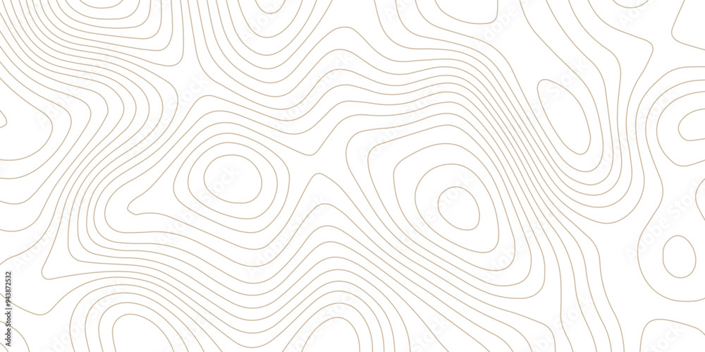 abstract White wave paper curved reliefs background .Panorama view gradient multicolor wave curve lines banner background design. Vector illustration. wave Line topography map contour background. abstract White wave paper curved reliefs background .Panorama view gradient multicolor wave curve lines banner background design. Vector illustration. wave Line topography map contour background.