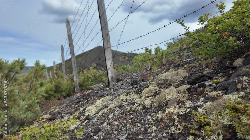 Witness the unique beauty of Yakutia's wild terrain, characterized by a barbed wire fence, lush greenery, and the majestic mountains looming in the background. Witness the unique beauty of Yakutia's wild terrain, characterized by a barbed wire fence, lush greenery, and the majestic mountains looming in the background.