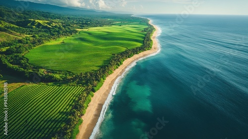 Bird's-eye view of lush farmlands adjacent to a pristine beach, where rows of crops blend seamlessly with the natural beauty of the coastline photo