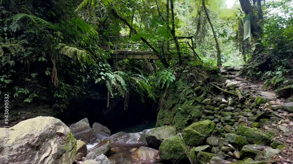 Wooden bridge in the forest 