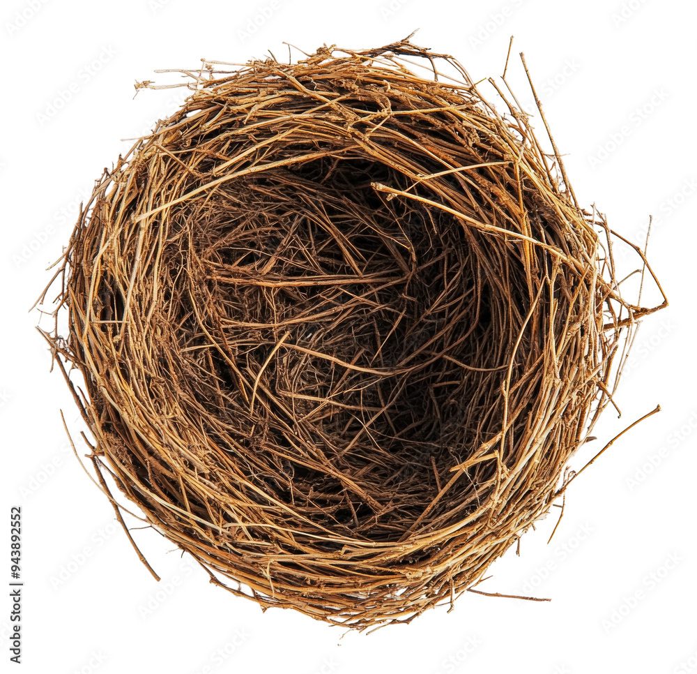 Obraz premium PNG Nest made of twigs resting on a white background