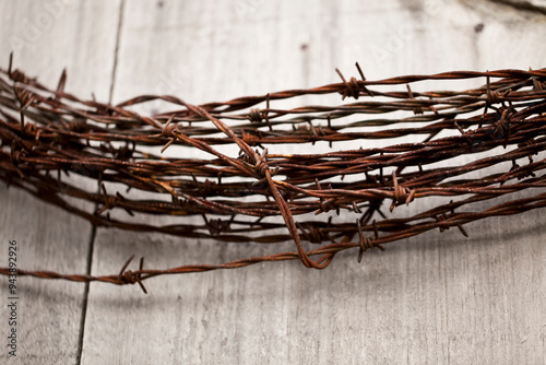 Close-up of Barbed Wire, Ontario, Canada photo