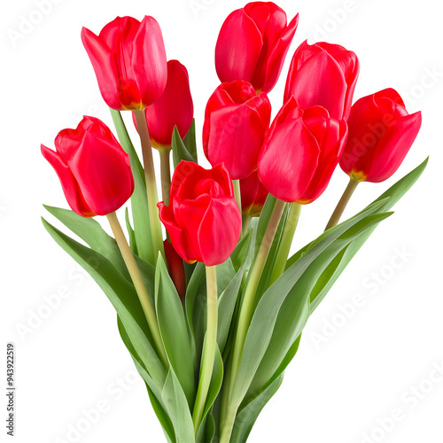 Elegant Bouquet of Red Tulips with Green Leaves Isolated on Transparent Background.