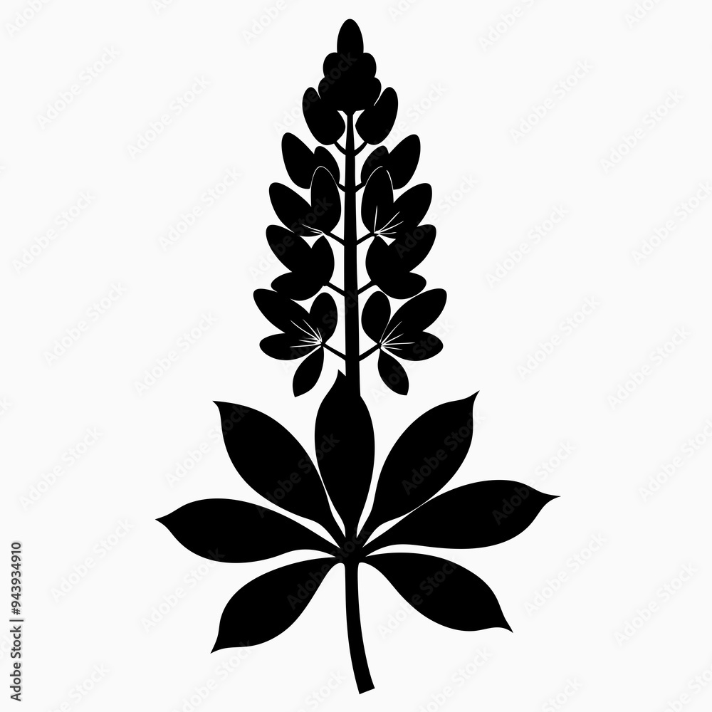 Lupine flower Black silhouette