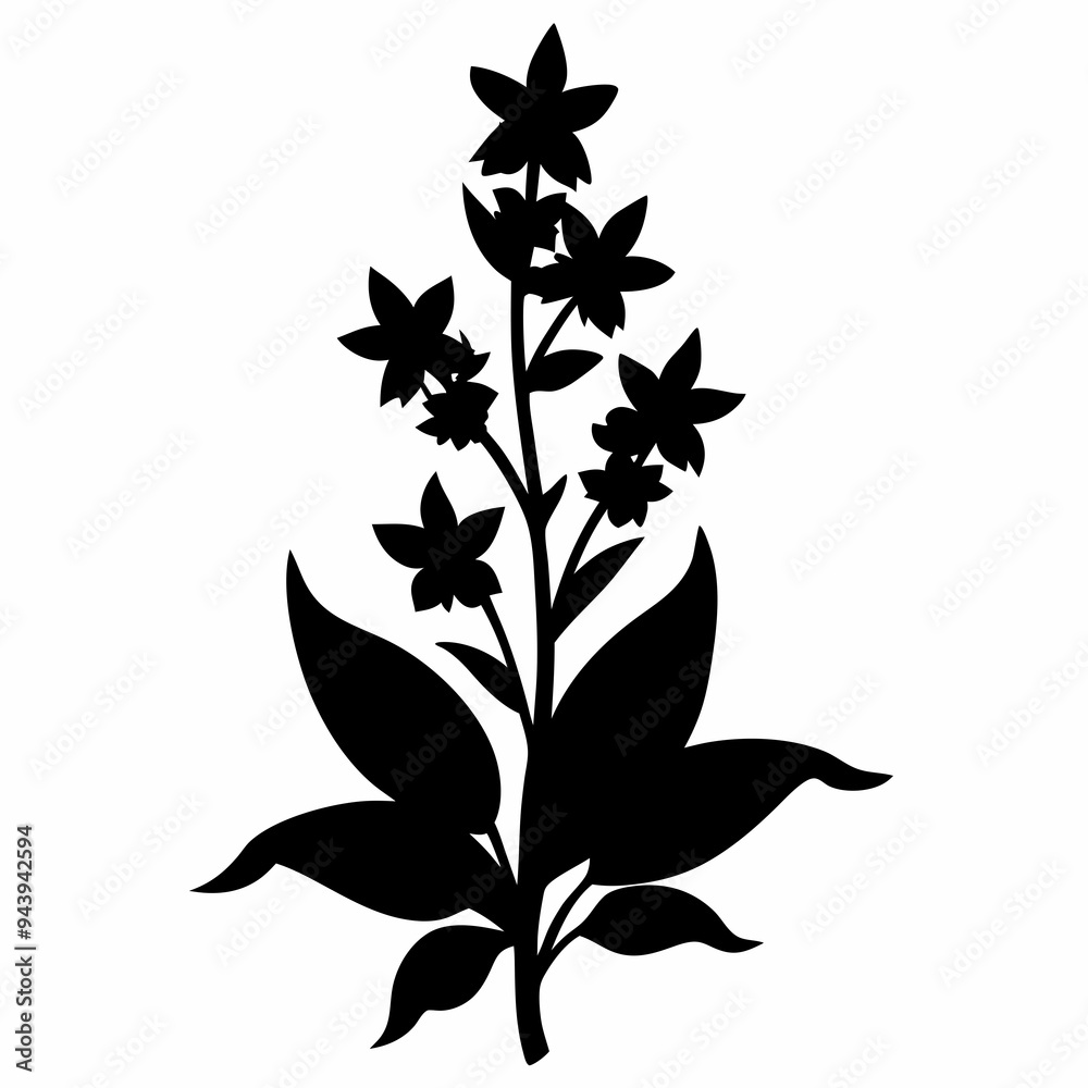 Loosestrife Black silhouette Loosestrife Black silhouette