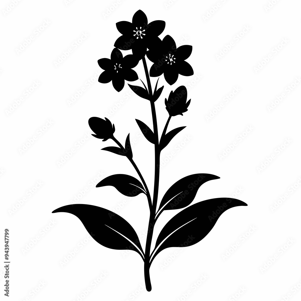 Lobelia Black silhouette Lobelia Black silhouette