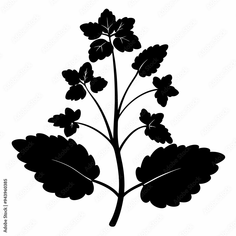 Lamium Black silhouette Lamium Black silhouette