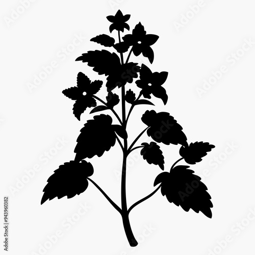 Lamium Black silhouette