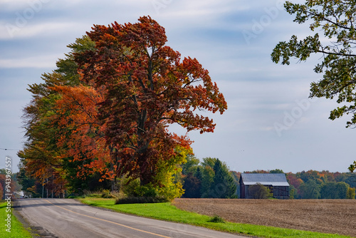 Autumn colours create a stunning landscape in the countryside near London, Ontario; London, Ontario, Canada photo