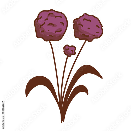 allium