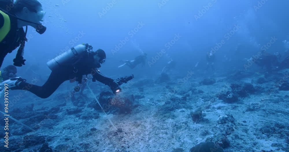 Scuba divers using reef hooks. Scuba divers using reef hooks.