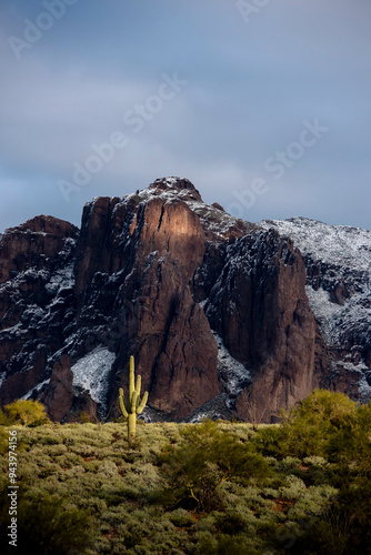 Fresh desert snow in the Superstition Mountains of Arizona, USA; Apache Junction, Arizona, United States of America photo