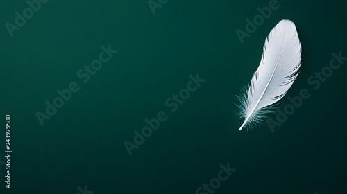 Single White Feather on Green Background