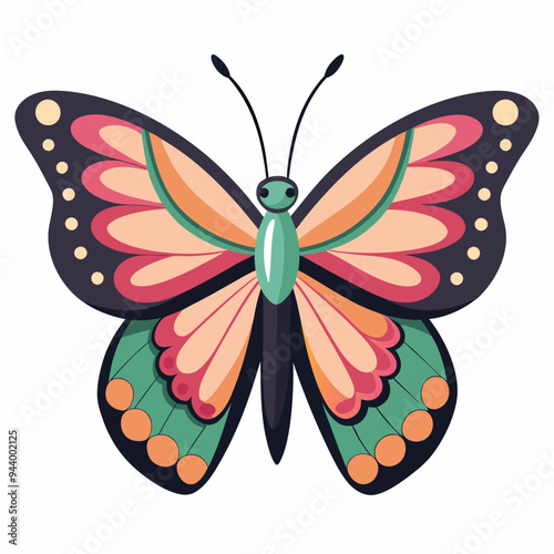 Colorful Butterfly with Intricate Wing Patterns