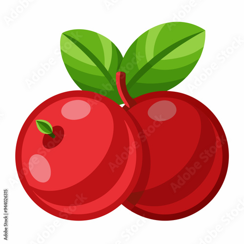 Two Red Cranberries with Green Leaves