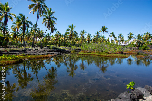 Hawaiian style wood carving Pu uhonua O H naunau National Historical Park, Big Island, Hawaii photo