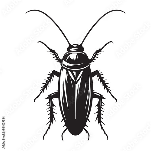 A Cockroach Vector Art Illustration