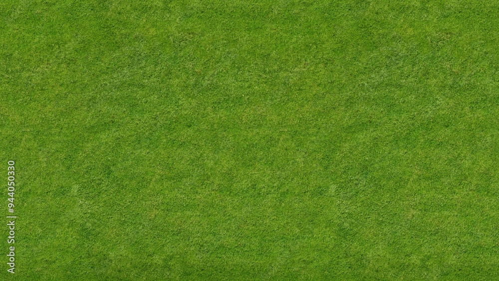 Fototapeta premium Green grass texture background. Top view of grass garden ideal concept used for making green flooring, lawn for training football pitch, grass golf courses green lawn pattern textured background. 