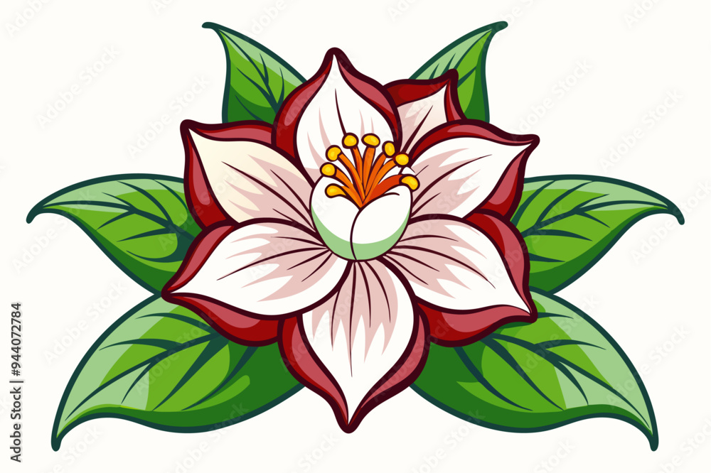 White Flower with Red Edges and Green Leaves