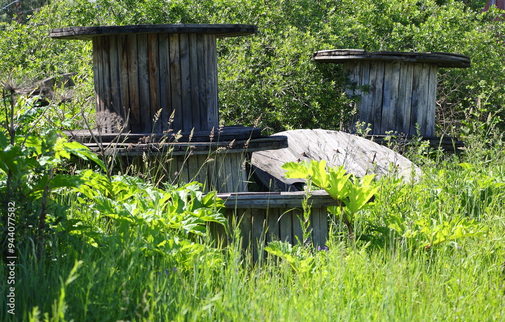 The discarded empty cable reels are overgrown with grass and trees The discarded empty cable reels are overgrown with grass and trees