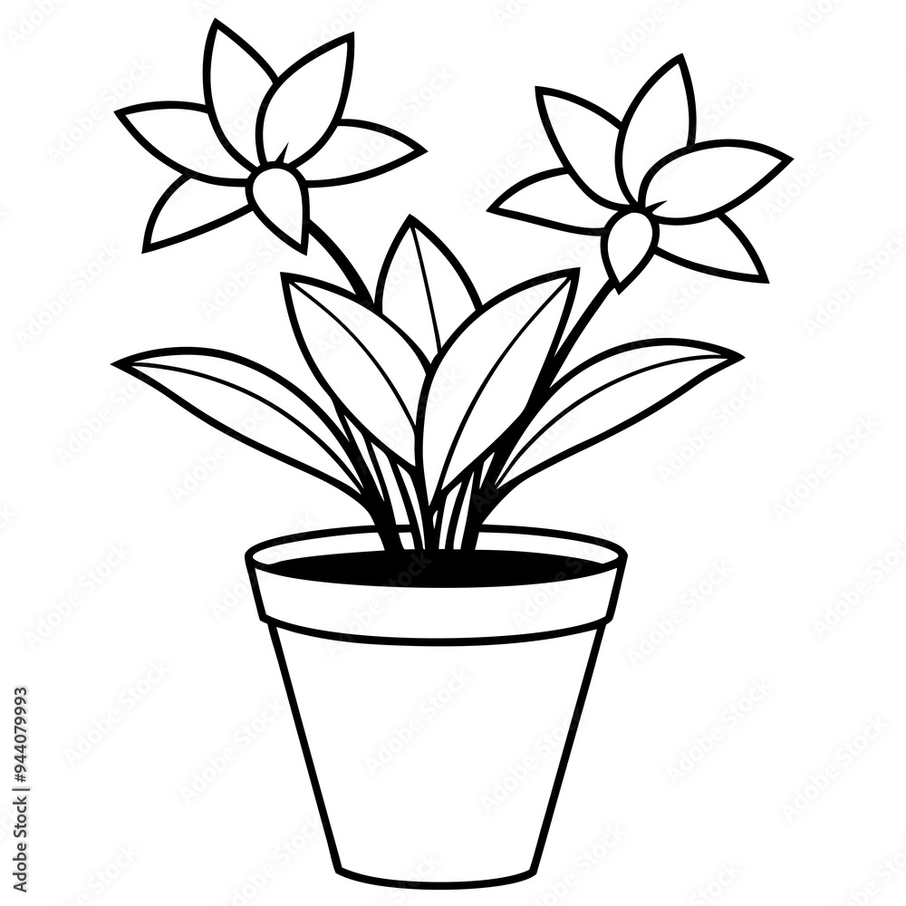 Flowering Potted Plant line art Vector on White Background