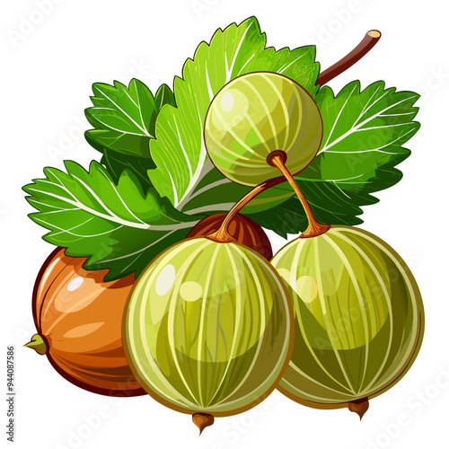 Green Gooseberries with Leaves and Stem