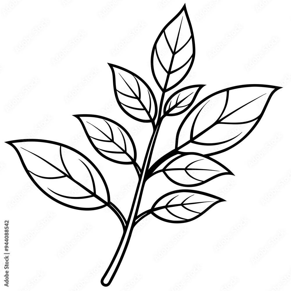 Herbal Plant Art Vector Design Herbal Plant Art Vector Design