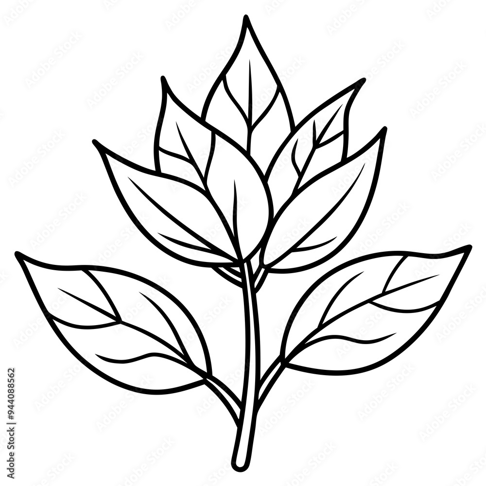 Herbal Plant Art Vector Design Herbal Plant Art Vector Design