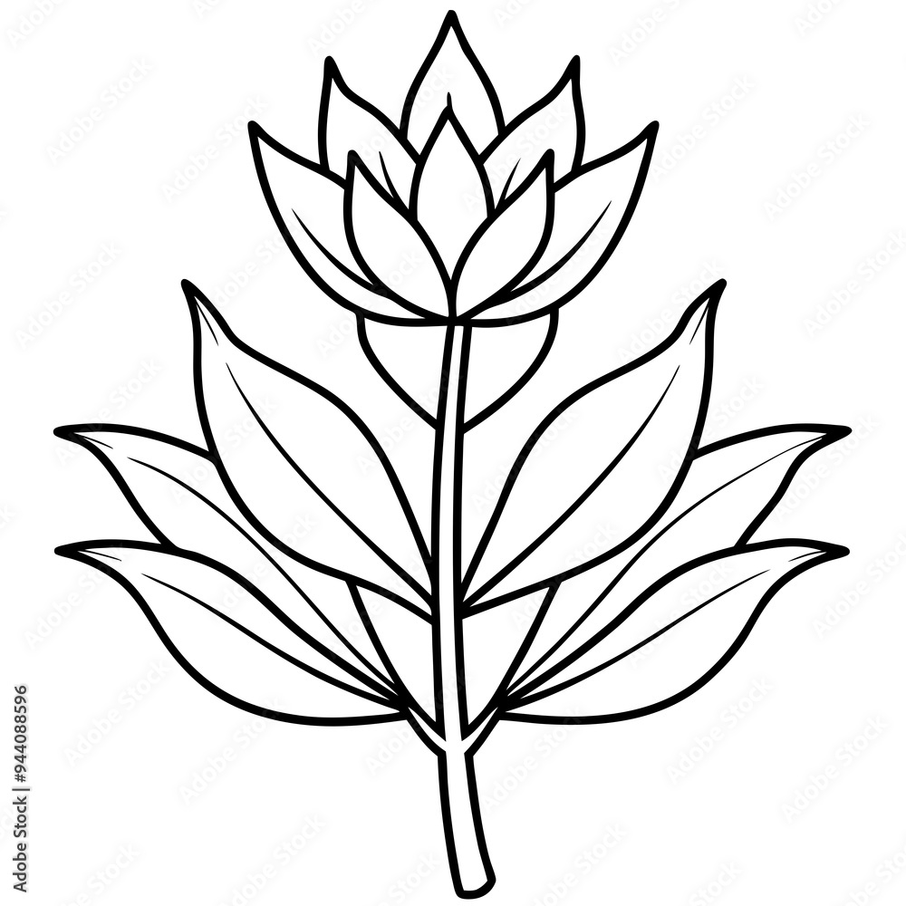 Herbal Plant Art Vector Design Herbal Plant Art Vector Design
