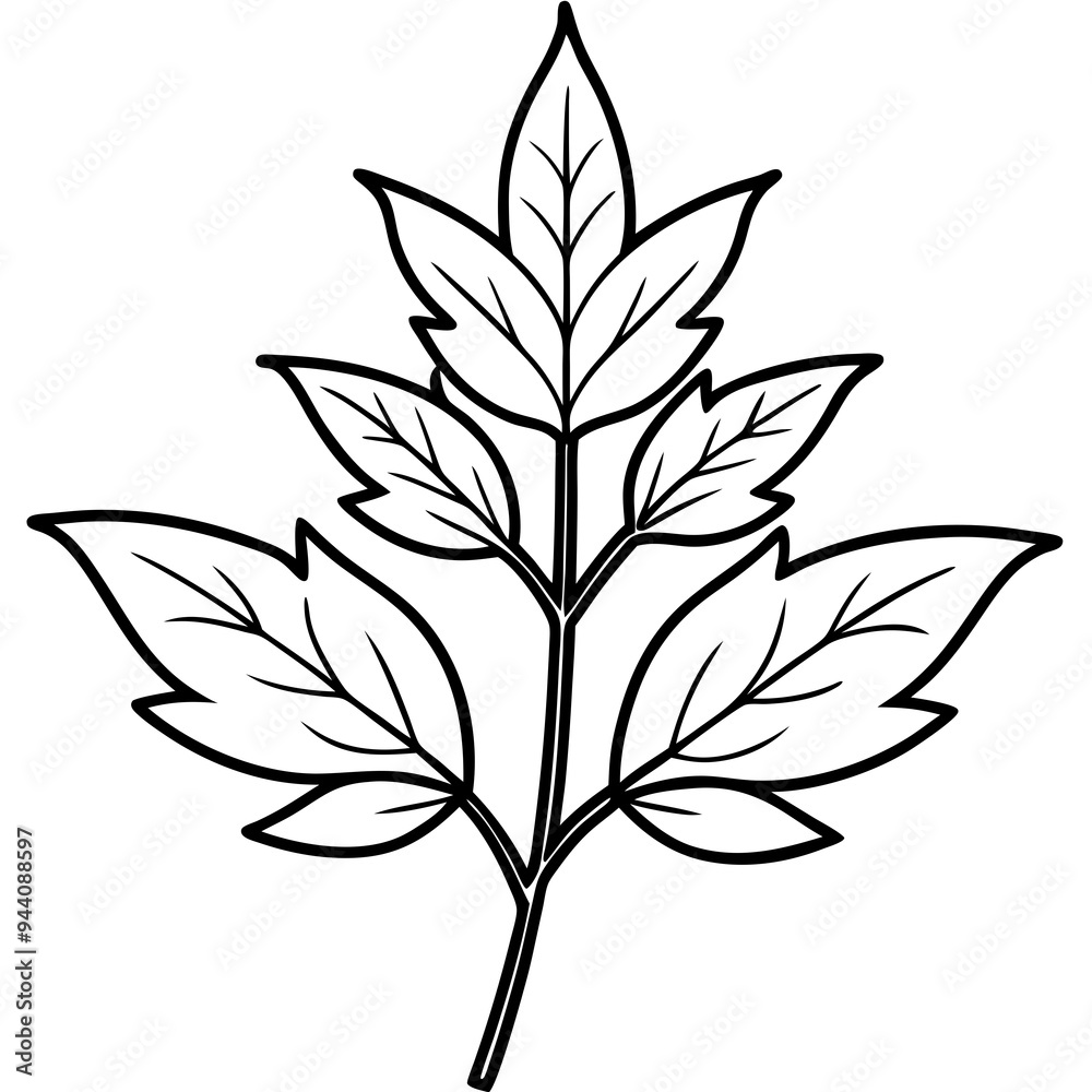 Herbal Plant Art Vector Design Herbal Plant Art Vector Design