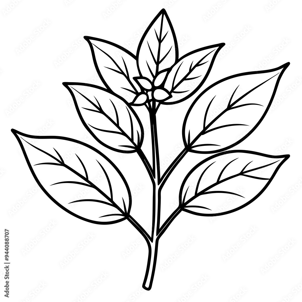 Herbal Plant Art Vector Design Herbal Plant Art Vector Design