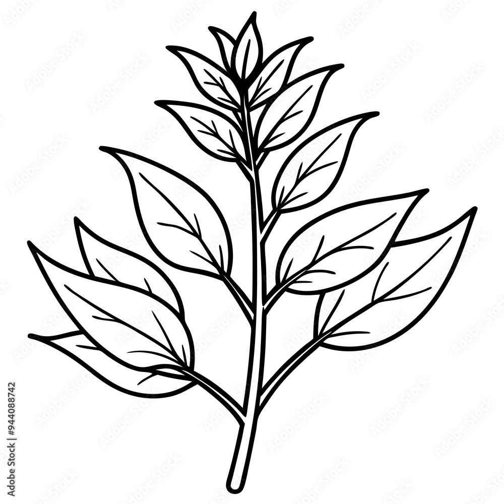 Herbal Plant Art Vector Design Herbal Plant Art Vector Design