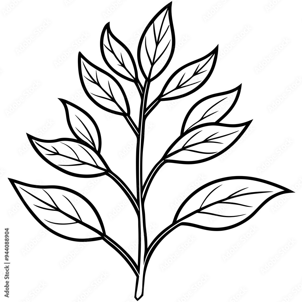 Herbal Plant Art Vector Design Herbal Plant Art Vector Design
