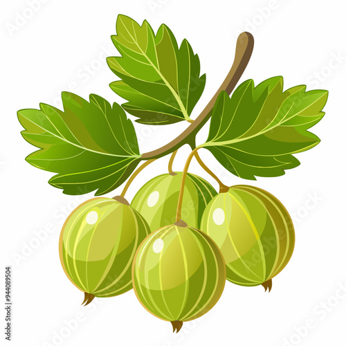 Green Gooseberries on a Branch with Leaves
