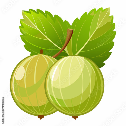Two Green Gooseberries with Leaves