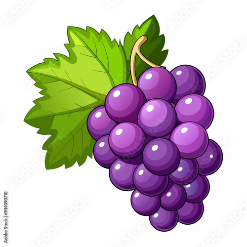 Bunch of Purple Grapes with Green Leaf