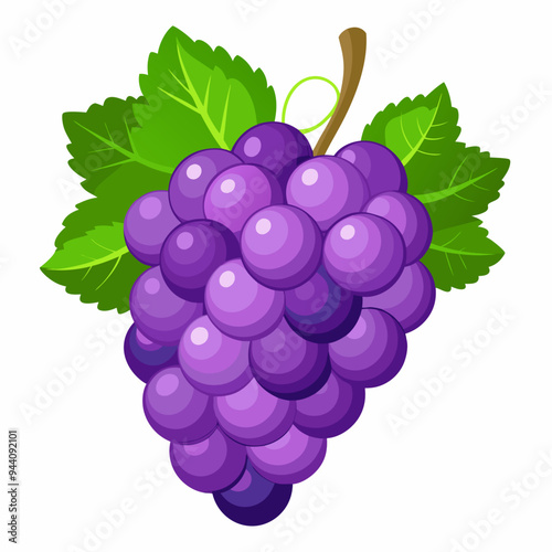 A Bunch of Purple Grapes with Green Leaves