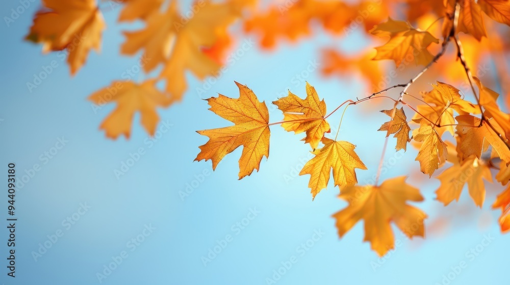Autumn and foliage Golden hues of fall foliage against a backdrop of clear blue skies. Autumn and foliage Golden hues of fall foliage against a backdrop of clear blue skies.