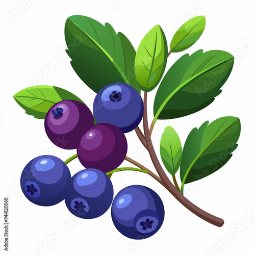 A Branch of Blueberries with Green Leaves