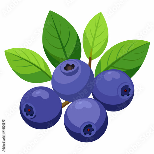 Fresh Blueberries with Green Leaves on a White Background