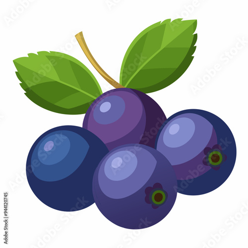 Four Blueberries with Green Leaves on a White Background