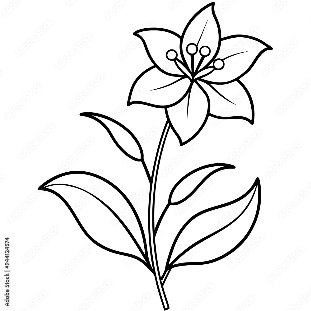 Minimalist Flower line art on White Background - Vector Art Minimalist Flower line art on White Background - Vector Art